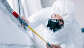 Best Real Estate Pest Inspections  in Delhi, LA